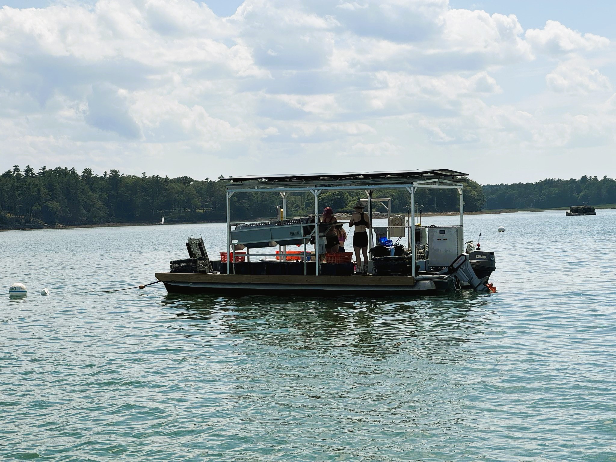 https://www.ceimaine.org/wp-content/uploads/2024/09/Nauti-Sisters-Shred-Electric-Solar-Oyster-Barge-at-work.jpeg